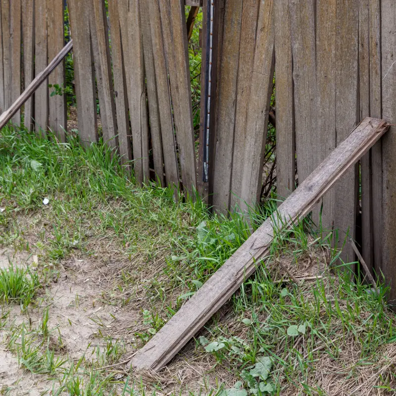 Wind damaged fence in Ipswich